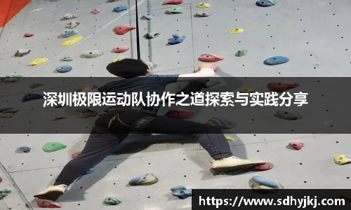 德信体育