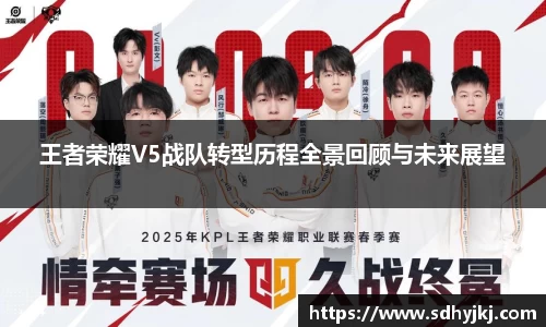 德信体育
