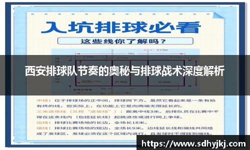 西安排球队节奏的奥秘与排球战术深度解析