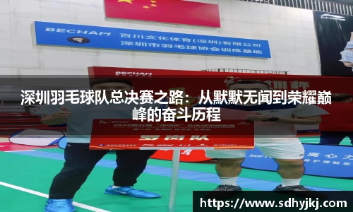 德信体育