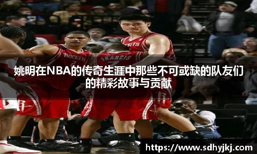 德信体育官网入口