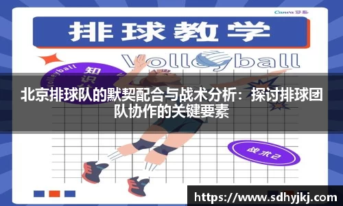 德信体育官网