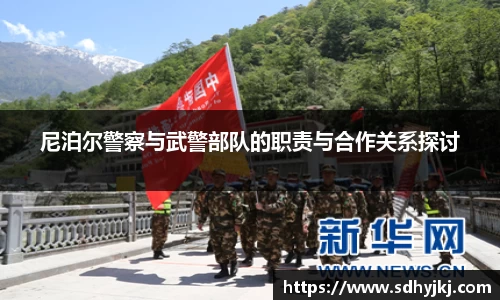德信体育