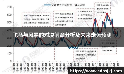 飞马与风暴的对决前瞻分析及未来走势预测
